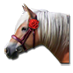 Ficheiro:Cavalo do Dia dos Namorados.png