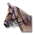 Ficheiro:Cavalo do Juan Ponce de León.png