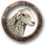 Pastorear ovelhas