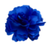Ficheiro:Flor azul.png