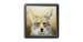 Coiote Icon.png
