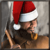 Clique para obter a informação do NPC: Pai Natal Falso